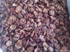 拓普康MS与生物制品 科技创新下的应用与前景