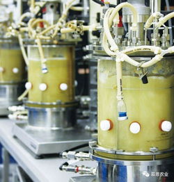 慕恩生物菌肥产品全国空白市场特许经销商火热招募中