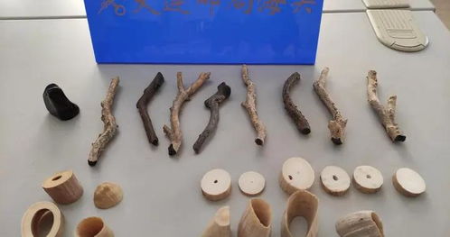 马牙生物制品 探索传统与现代的融合