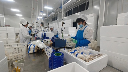 安图生物 铆足干劲抓生产，奋力冲刺生物制品“开门红”